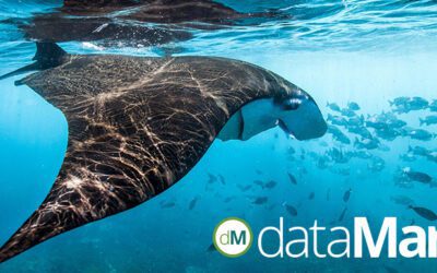 dataMares: A Sea of Data on Mexico’s Natural Capital