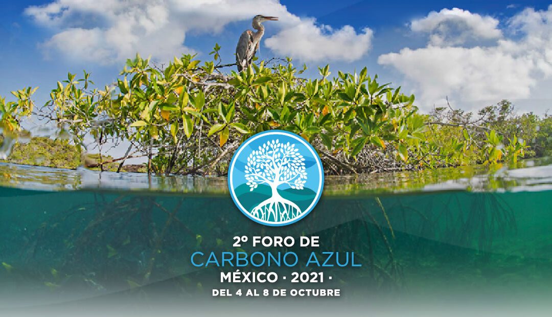 Foro de Carbono Azul México 2021