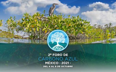 Blue Carbon Forum Mexico 2021
