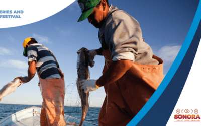 Regional Artisanal Fishing and Aquaculture Festival, Sonora 2022