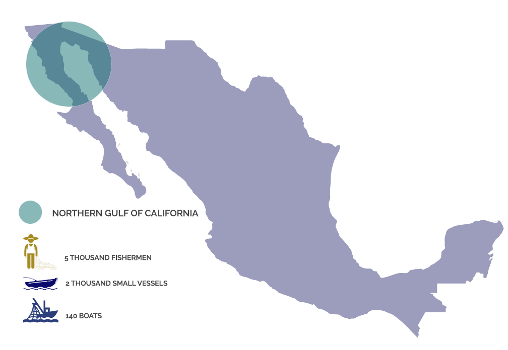 Graphic showing a highlighted area of Baja California 